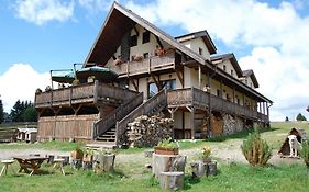 Cabana Motilor