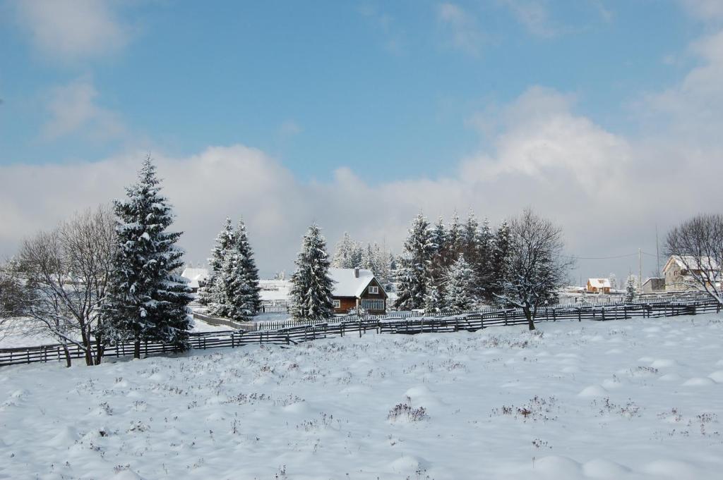 Cabana Motilor Mărişel Kültér fotó