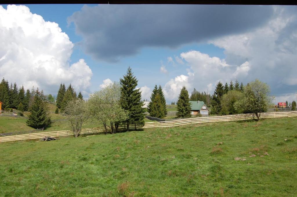 Cabana Motilor Mărişel Kültér fotó