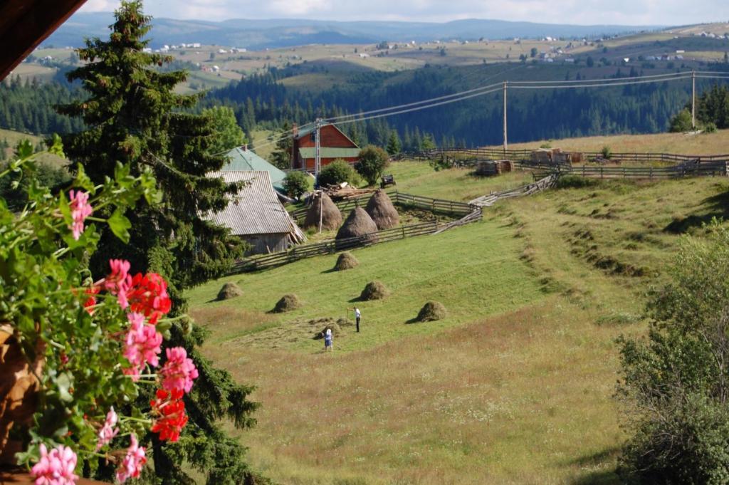 Cabana Motilor Mărişel Kültér fotó