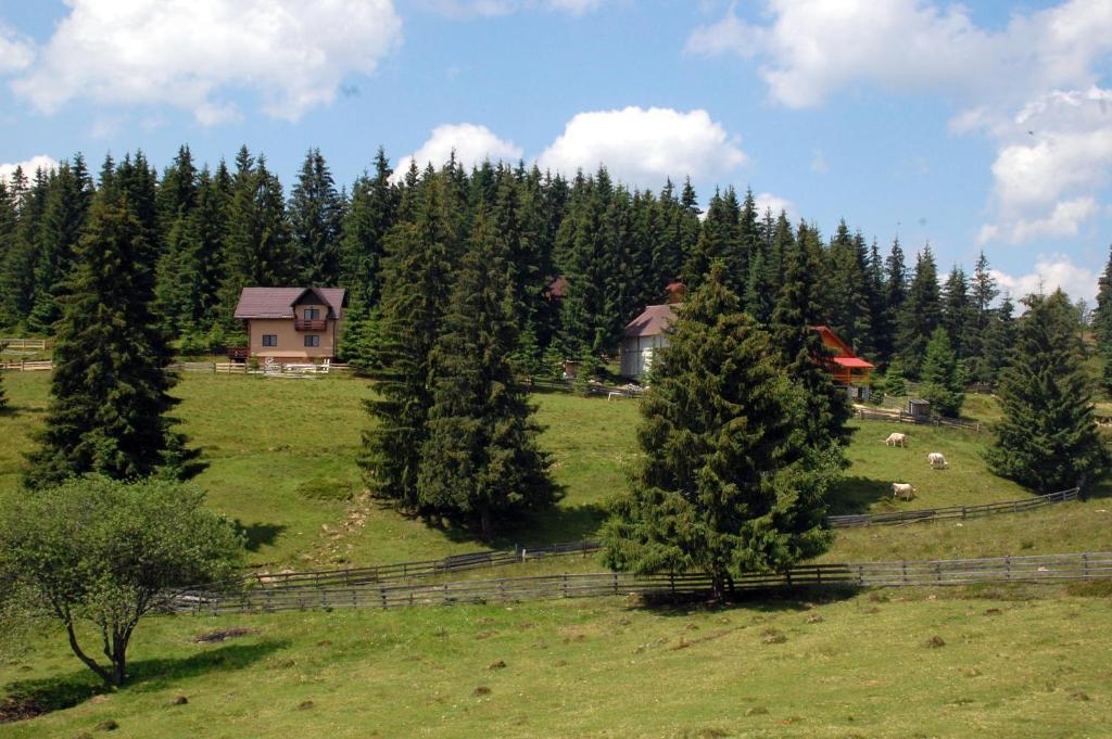 Cabana Motilor Hotel Mărişel Szoba fotó