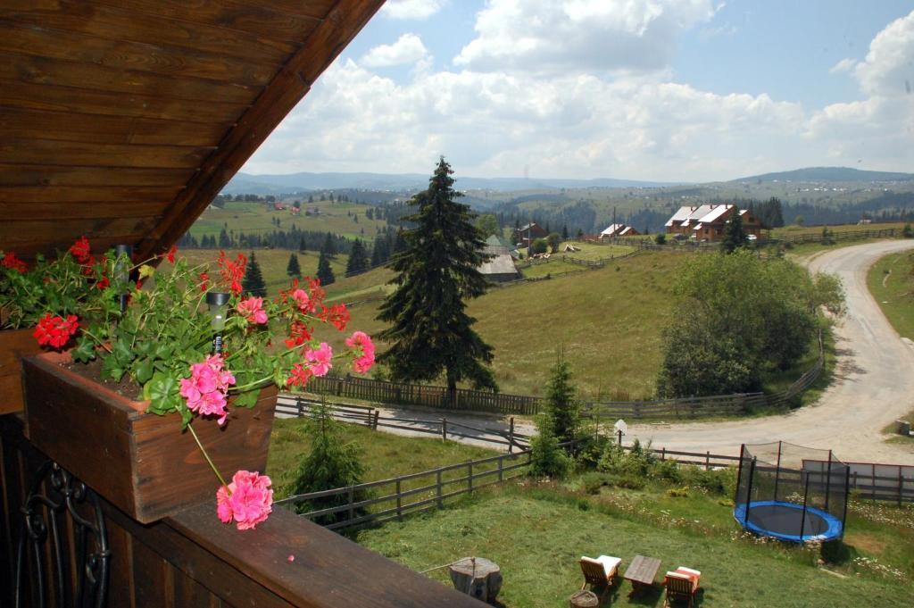 Cabana Motilor Mărişel Szoba fotó
